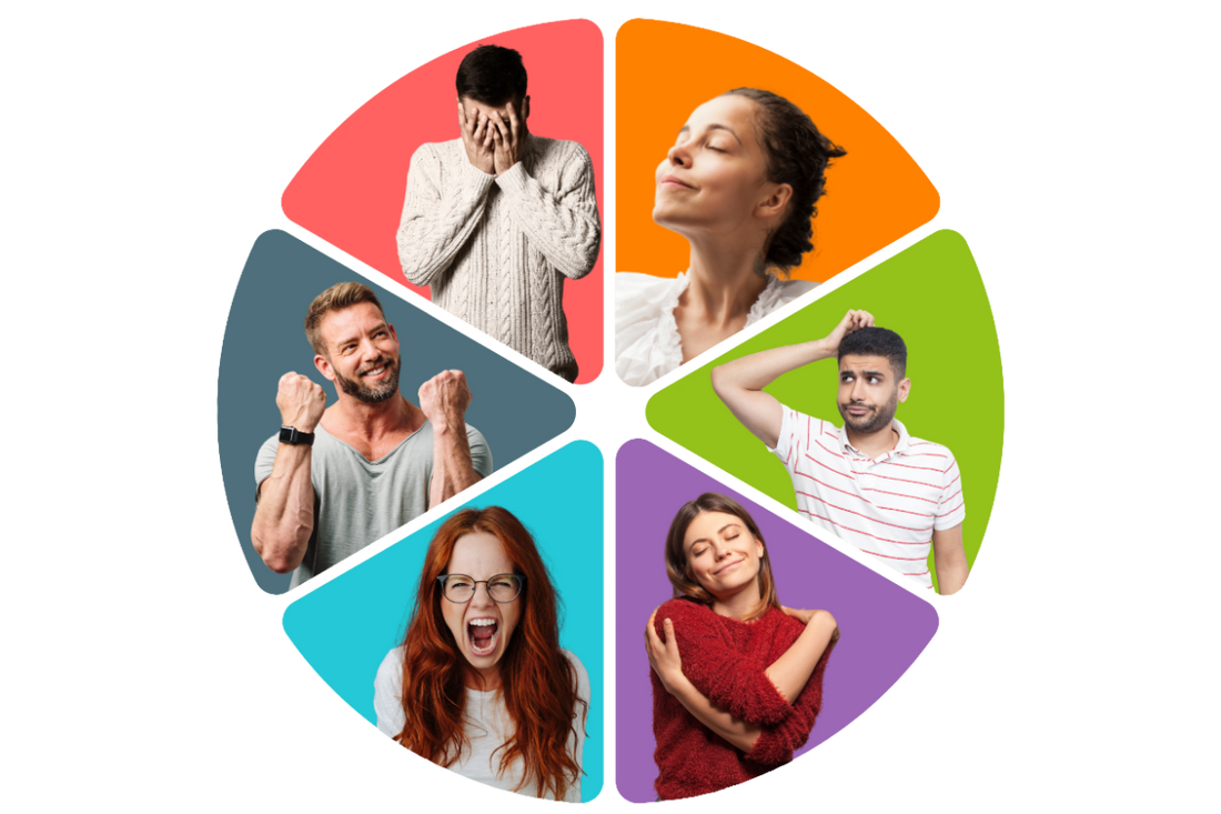 Name it to Tame it: Wie du durch das Gefühlsrad lernst, Emotionen zu benennen und Stress aufzulösen