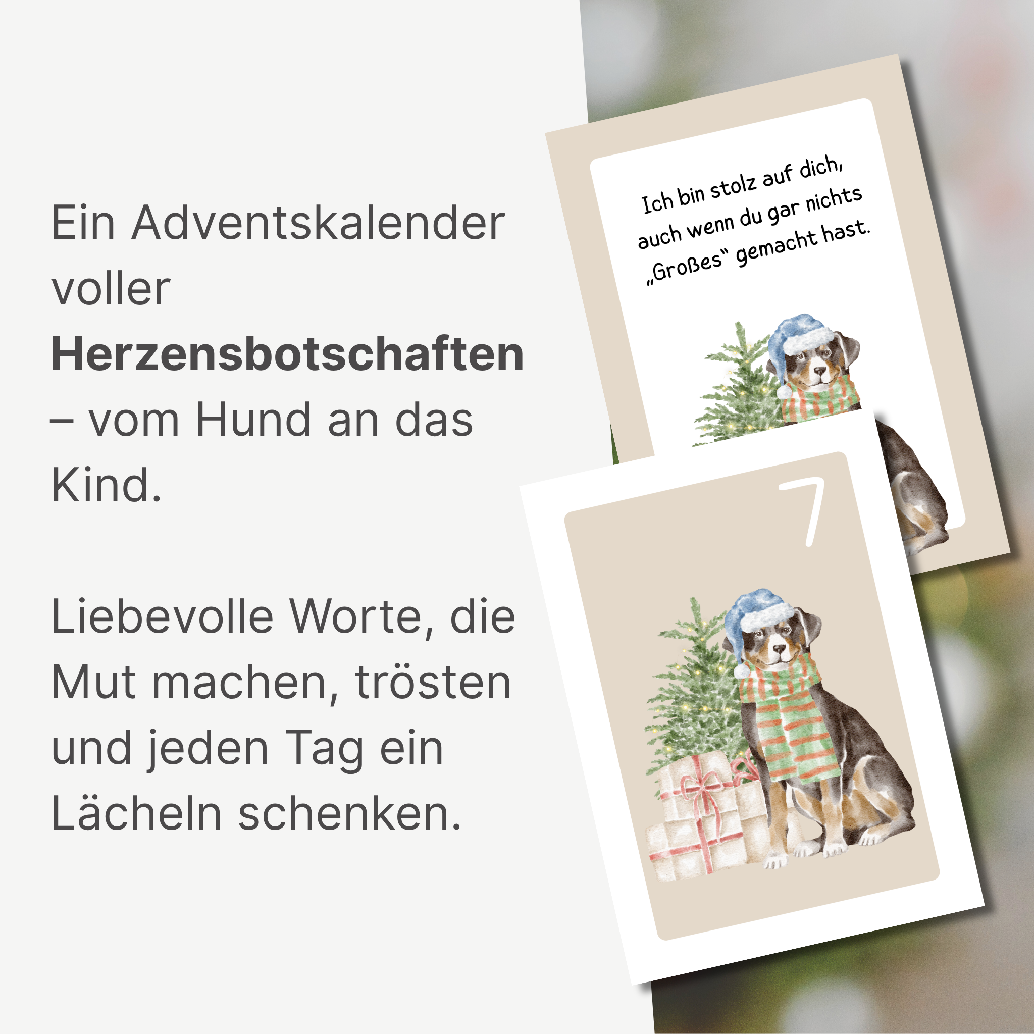 „Wuffirmationen“ – Adventskalender mit Botschaften vom Hund ans Kind