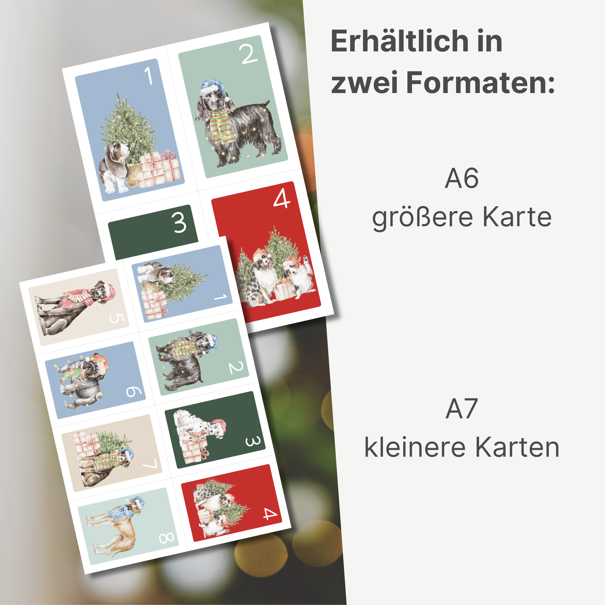 „Wuffirmationen“ – Adventskalender mit Botschaften vom Hund ans Kind