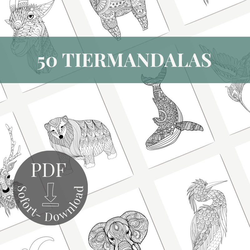 Tiermandalas – Achtsames Ausmalbuch für Ruhe & Konzentration﻿