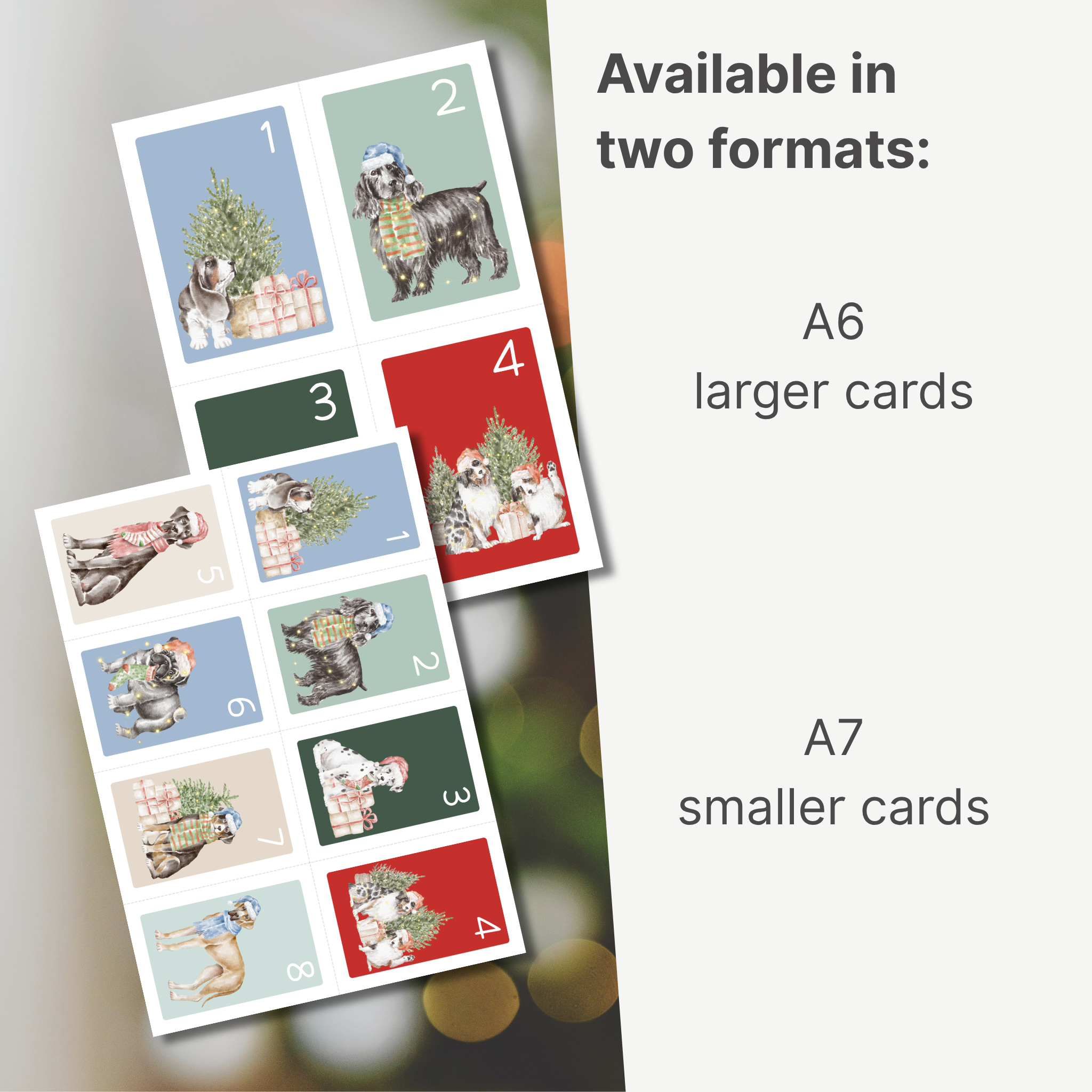 Therapy Dog Advent Calendar – 24 Days of Connection and Confidence