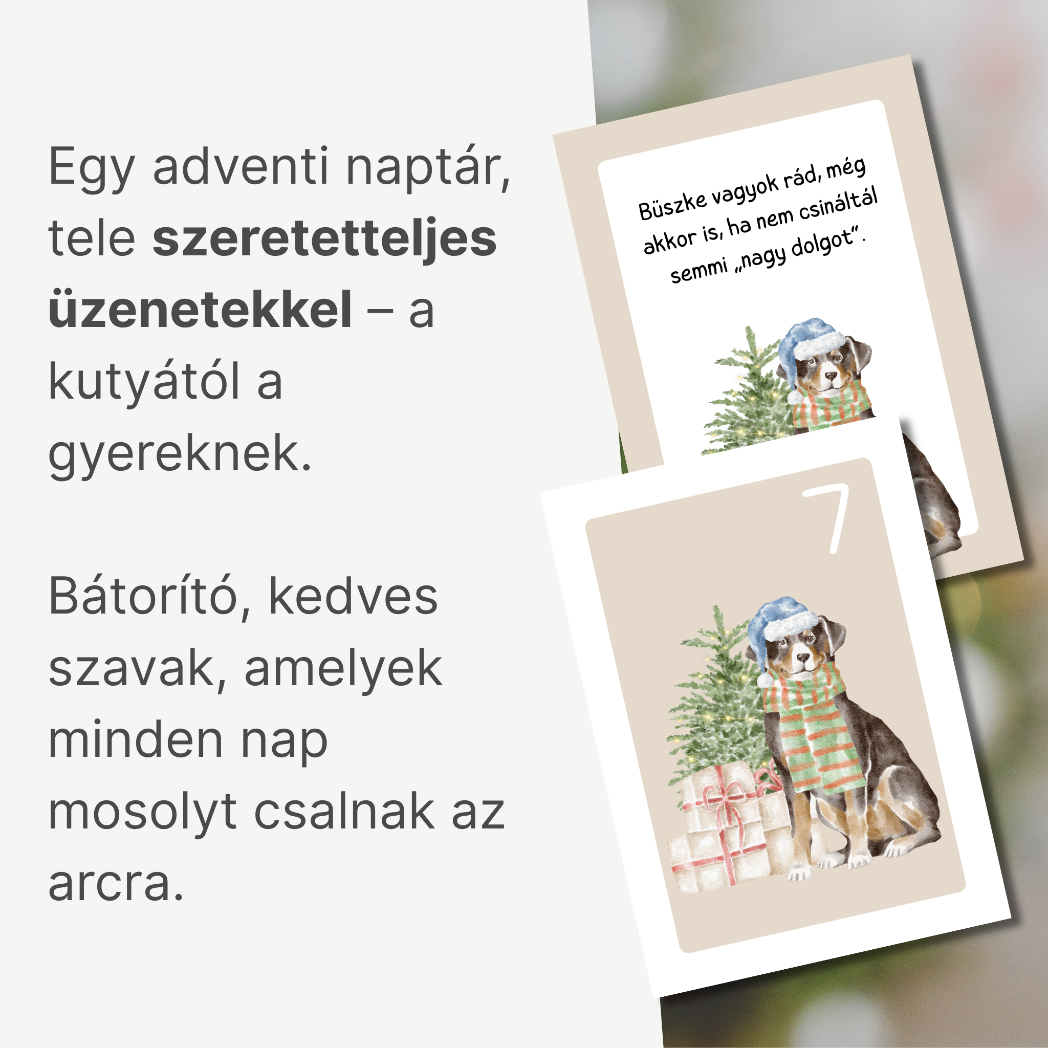 Terápiás kutyás adventi naptár – 24 nap az önbizalom erősítéséért
