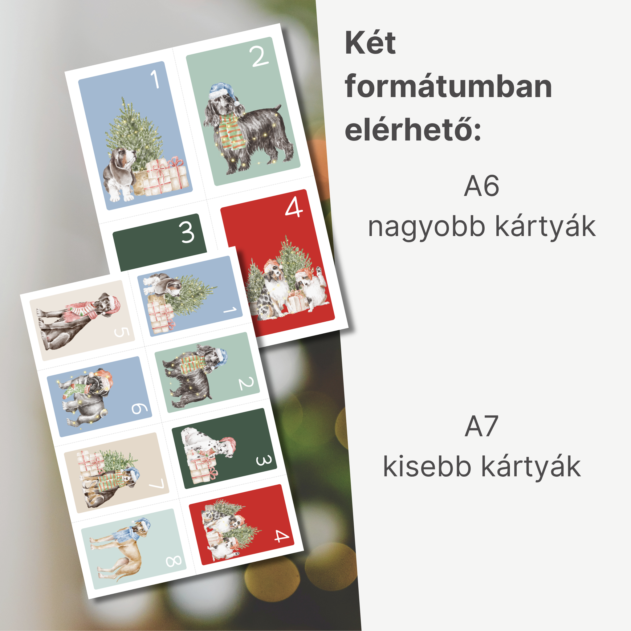 Terápiás kutyás adventi naptár – 24 nap az önbizalom erősítéséért