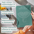 Állat mandalák – Tudatos színezőkönyv nyugalomhoz és fókuszhoz | PDF letöltés