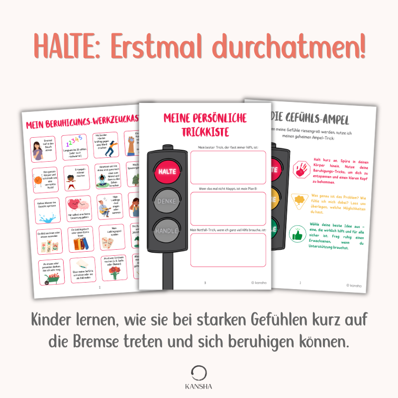 Impulskontrolle und Problemlösung mit der Ampel-Methode | PDF Download