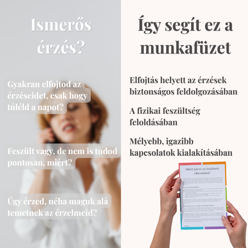 Hogyan segít az érzelemkerék munkafüzet felnőtteknek