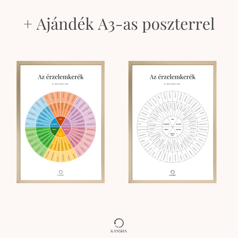 Szines és fekete-fehér érzelemkerék poszter felnőtteknek