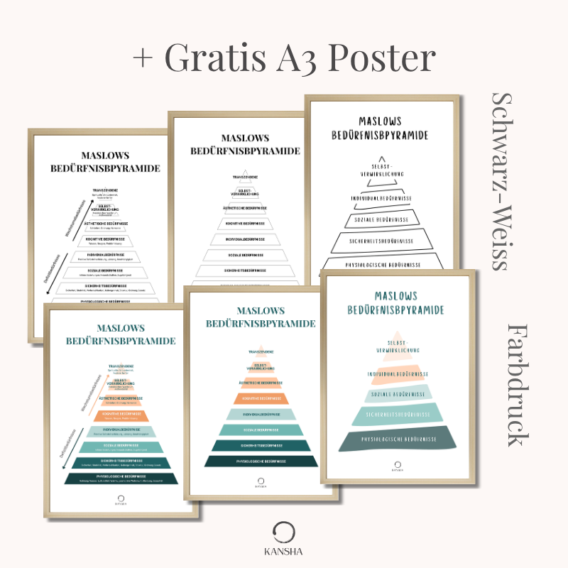 Verschiedene Posters mit der Maslows Bedürfnispyramide